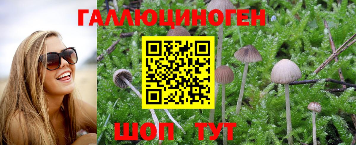 Псилоцибиновые грибы Magic Shrooms  Вход с VPN  Мирный 